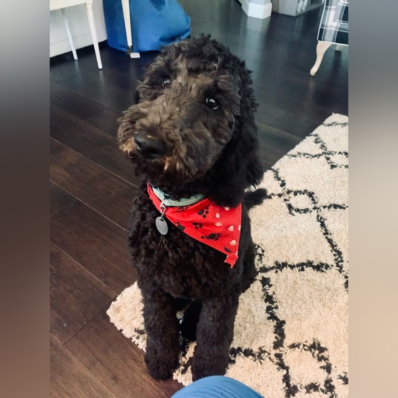 madelyn - Picture 8 of 12